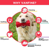 SISXSO Dog Toy, Squeaky, Indestructible, Tough, Durable Stick Chew Toy for Large Dogs, Puppies and Aggressive Chewers with Natural Rubber (Medium/Large Dog, Cube Red)