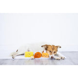 SISXSO Dinner Dog Toys, Set of 3, Plush Dog Toys, Squeaky Dog Toy, Fall Pet Toys