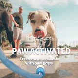 SISXSO Outdoor Dog Drinking Water Fountain Step On, Dog Sprinkler paw Activated Garden Dog Water Fountain Outdoor, Dog Sprinkler Dog Water Pedal