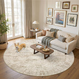 SISXSO 6x9 Area Rug for Living Room Washable 6x9 Rug Non-Slip Modern Rugs for Bedroom Dinning Room Ultra-Thin Indoor Beige Rug