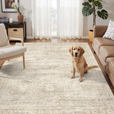 SISXSO 6x9 Area Rug for Living Room Washable 6x9 Rug Non-Slip Modern Rugs for Bedroom Dinning Room Ultra-Thin Indoor Beige Rug