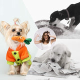 SISXSO Dog Squeaky Toys, Plush Small Dog Toys for Dogs, Stuffed Dog Toys with Squeakers,12 pcs Puppy Toys with a Carrying Bag for Small Medium Size Dogs