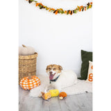 SISXSO Dinner Dog Toys, Set of 3, Plush Dog Toys, Squeaky Dog Toy, Fall Pet Toys