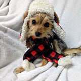 SISXSO Pet Hat | Antler Buffalo Check (Large) | Festive Christmas Holiday Accessory for Dogs/Cats | Holiday Pet Hat | SnugFit Sliding Toggles for Fit